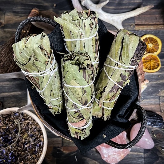 Eucalyptus Smudge Stick