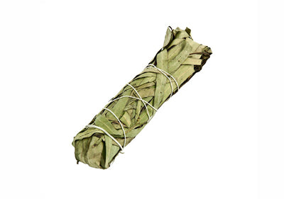 Eucalyptus Smudge Stick